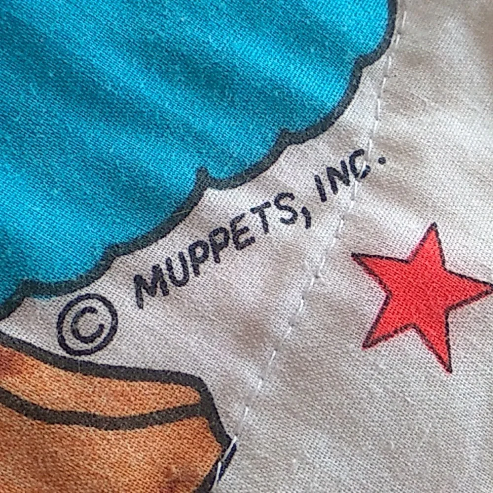 🍪  Cookie Monster FLANNEL BACKING CHILD'S BLANKET Throw 41 X 32 EVC